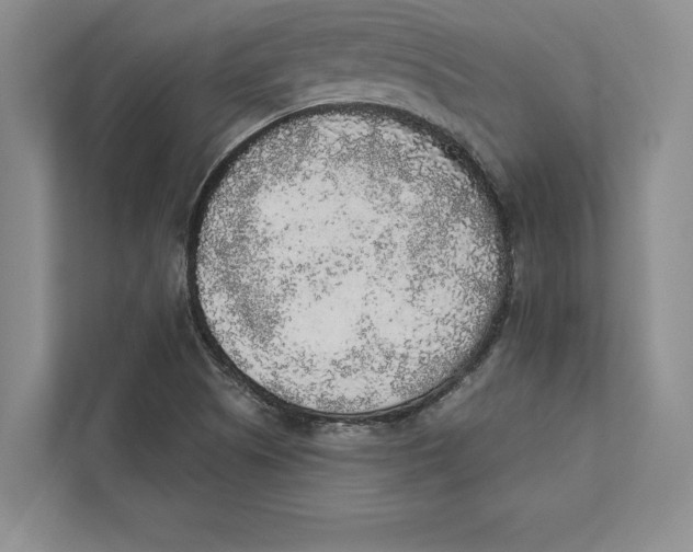 X0000110861505200907091330