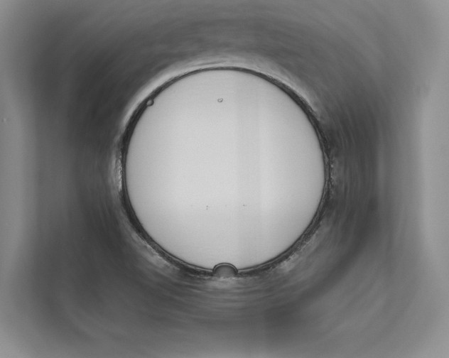 X0000110861510200907091330