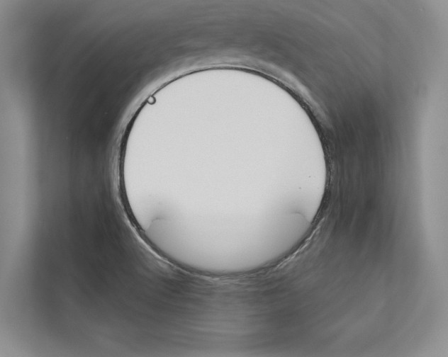 X0000110861512200907091330