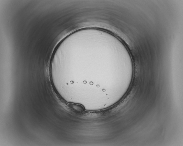 X0000110861513200907091330