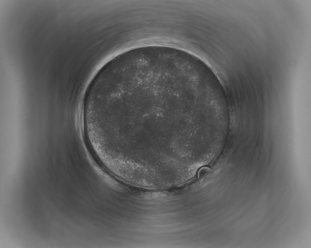 X0000110861515200907091330