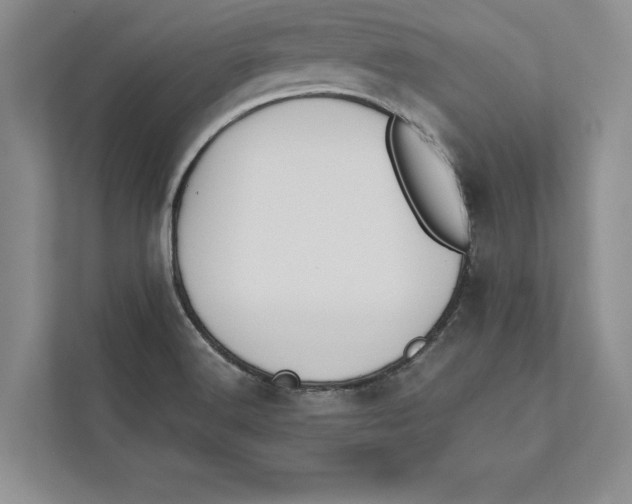 X0000110861516200907091330