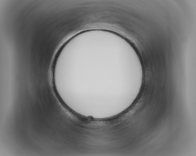 X0000110861517200907091330