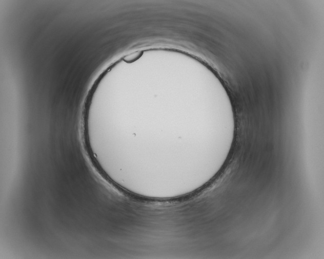 X0000110861518200907091330