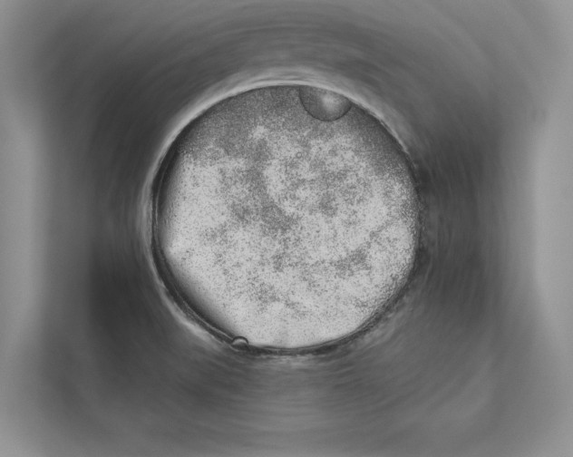 X0000110861519200907091330