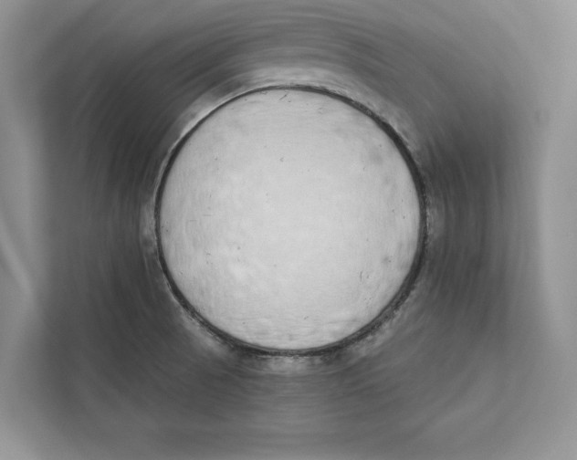 X0000110861521200907091330