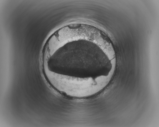 X0000110861522200907091330