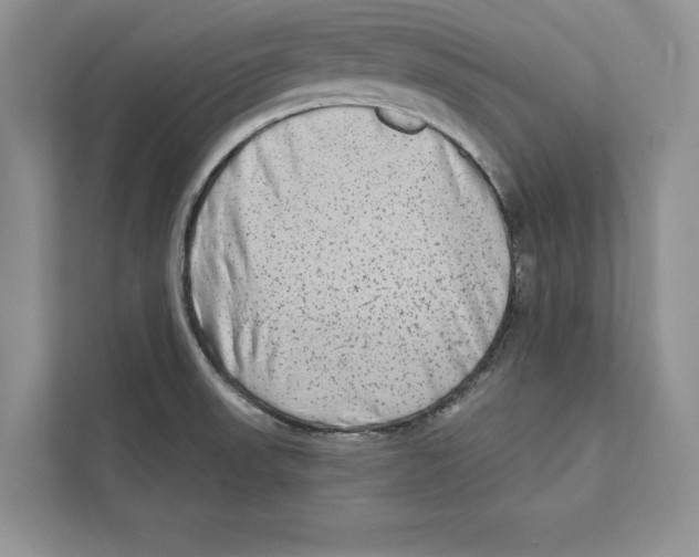 X0000110861523200907091330