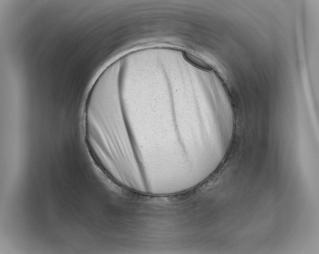 X0000110861524200907091330