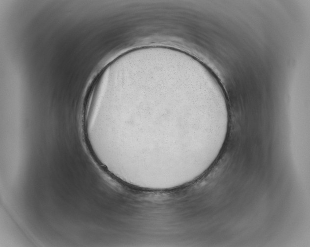 X0000110861525200907091330