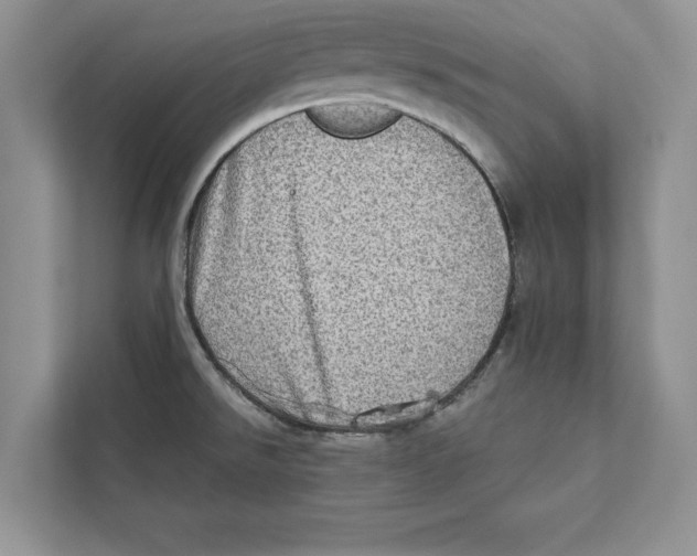 X0000110861526200907091330