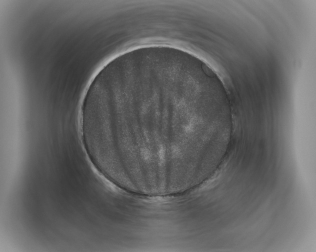 X0000110861527200907091330