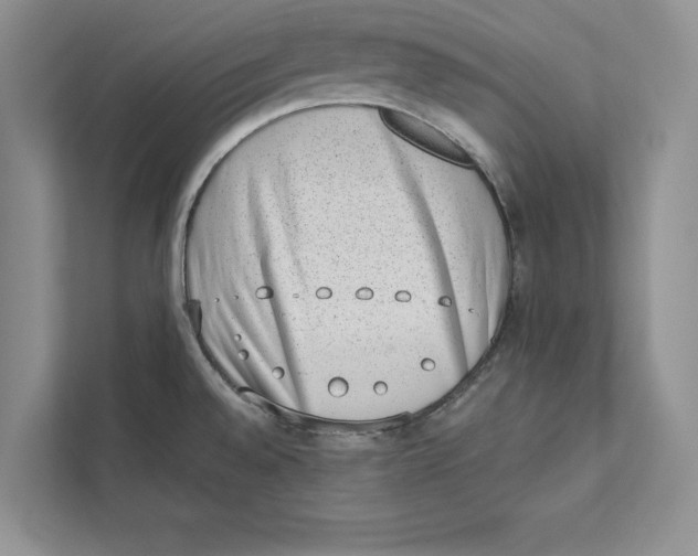 X0000110861528200907091330