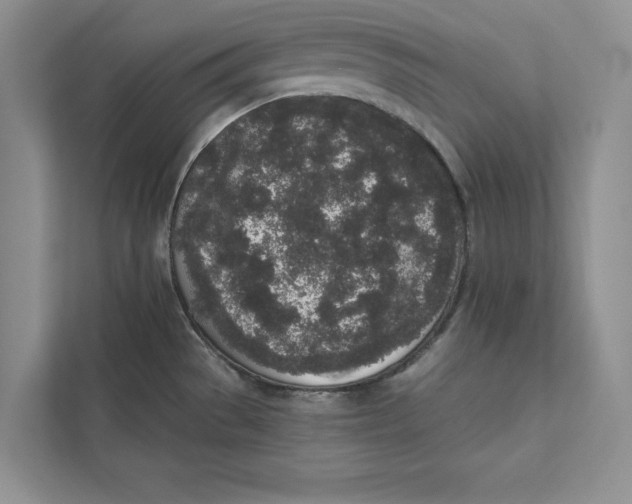 X0000110861529200907091330