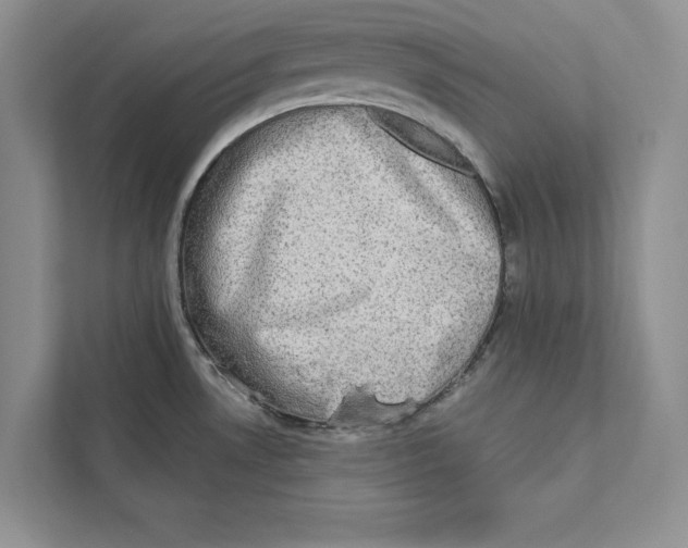 X0000110861530200907091330