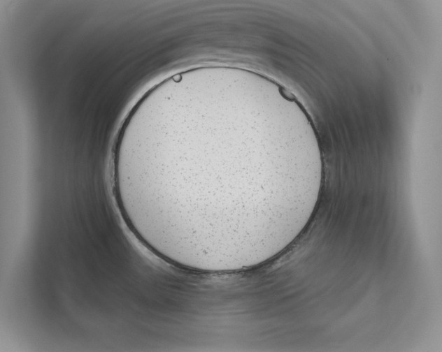 X0000110861531200907091330