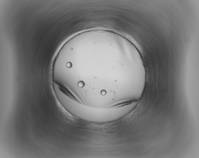 X0000110861532200907091330