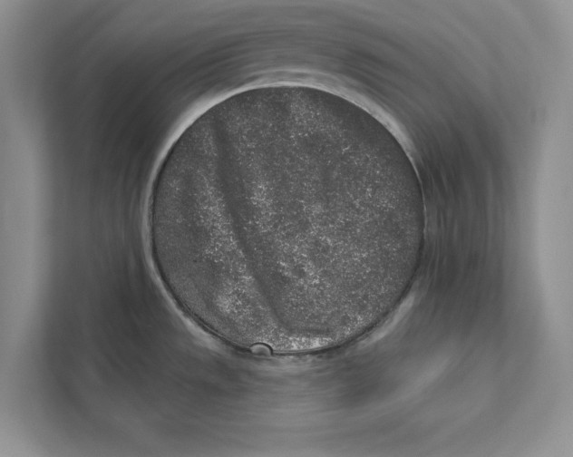 X0000110861533200907091330