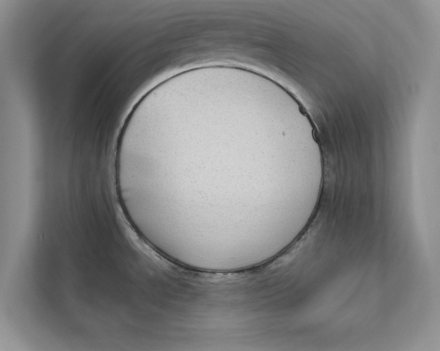 X0000110861534200907091330