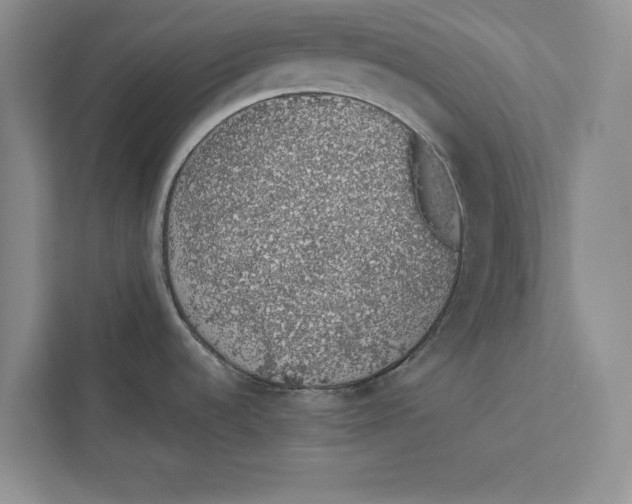 X0000110861536200907091330