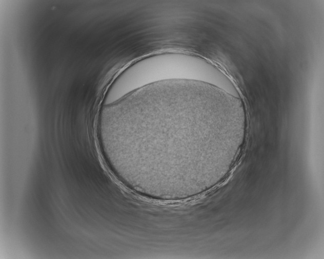 X0000110860001200907161406