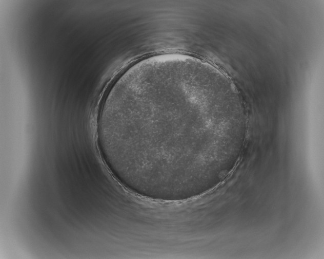X0000110860002200907161406