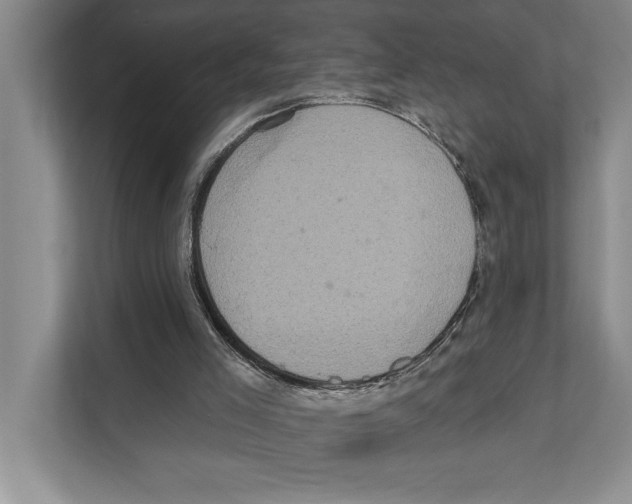 X0000110860005200907161406