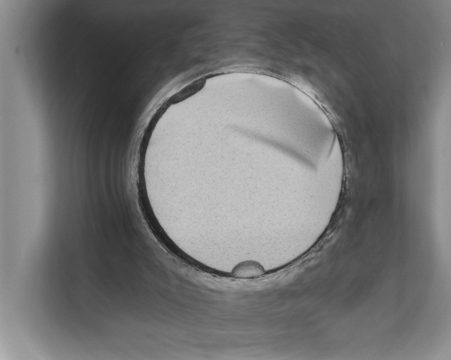X0000110860007200907161406