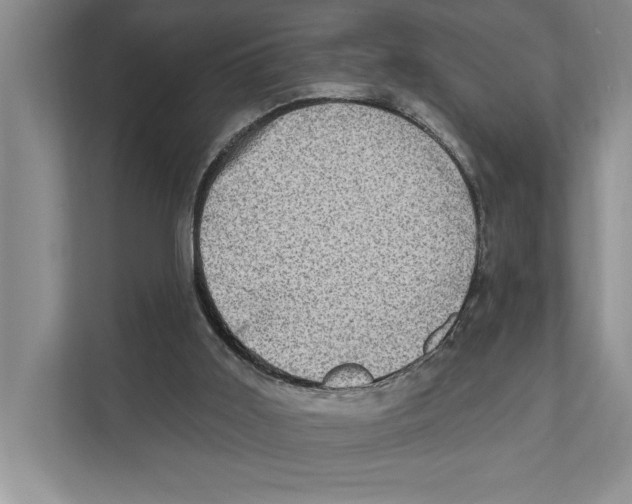 X0000110860011200907161406