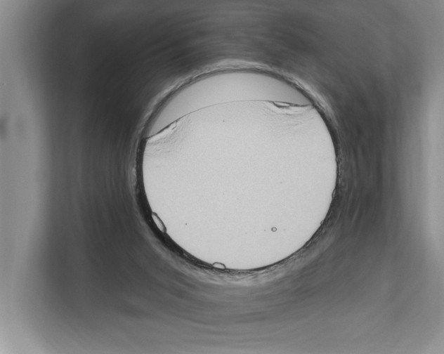 X0000110860015200907161406