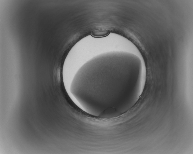 X0000110860019200907161406