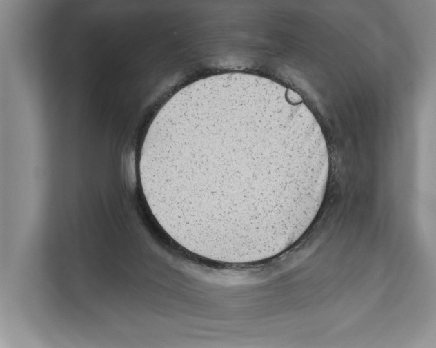 X0000110860020200907161406