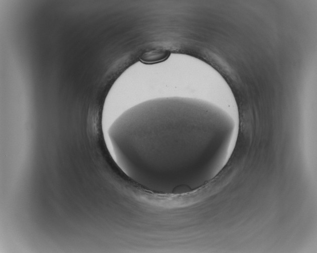 X0000110860023200907161406