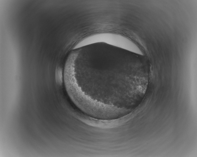 X0000110860027200907161406