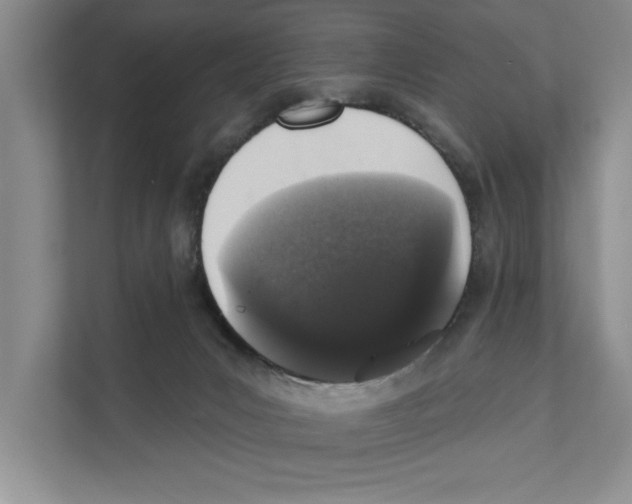 X0000110860031200907161406