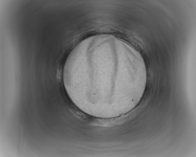 X0000110860033200907161406