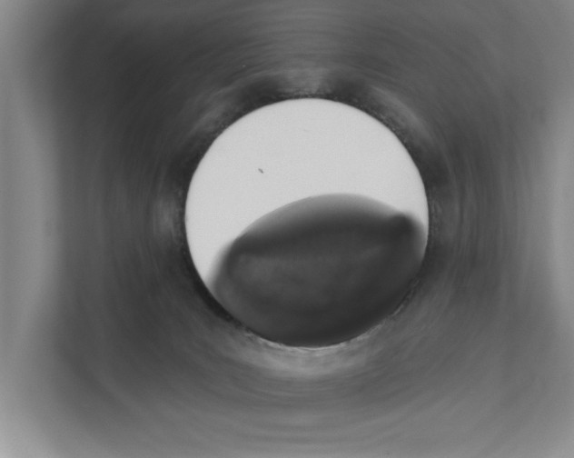 X0000110860035200907161406