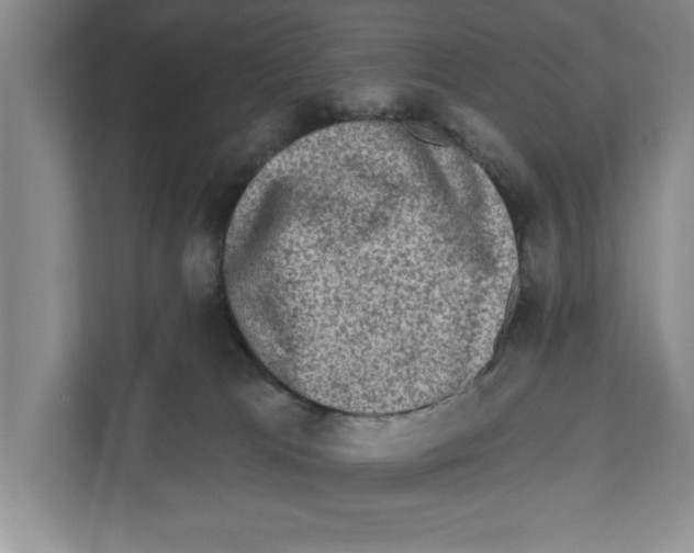 X0000110860037200907161405