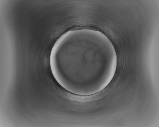 X0000110860039200907161405