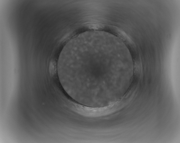 X0000110860043200907161405