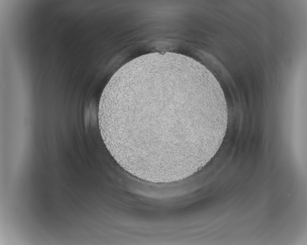 X0000110860046200907161405