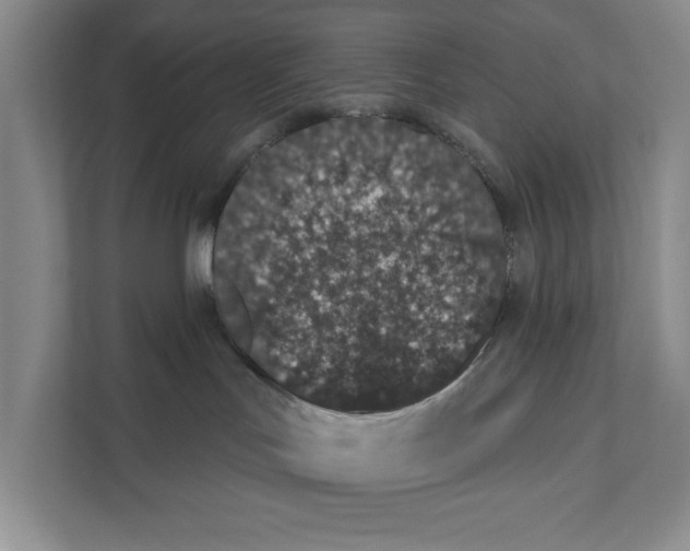 X0000110860047200907161405