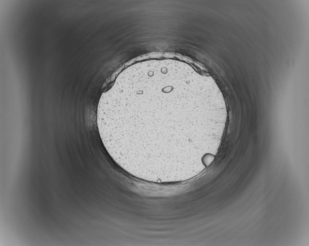 X0000110860048200907161405