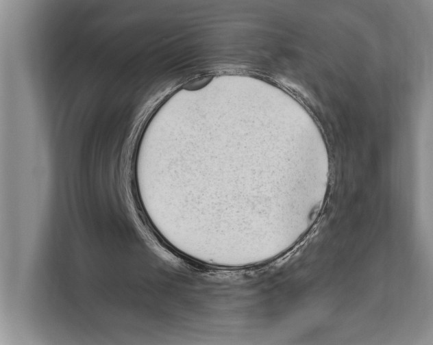 X0000110860049200907161405