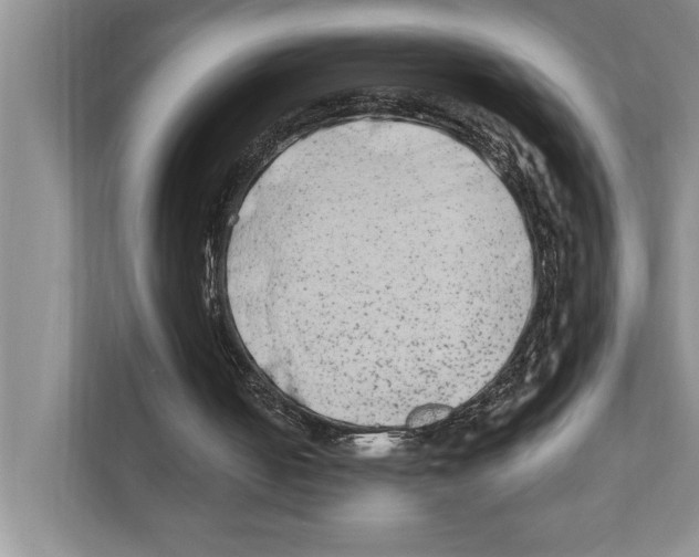 X0000110860050200907161405