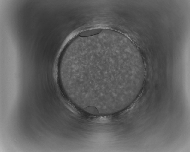 X0000110860056200907161405