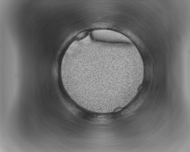 X0000110860064200907161405