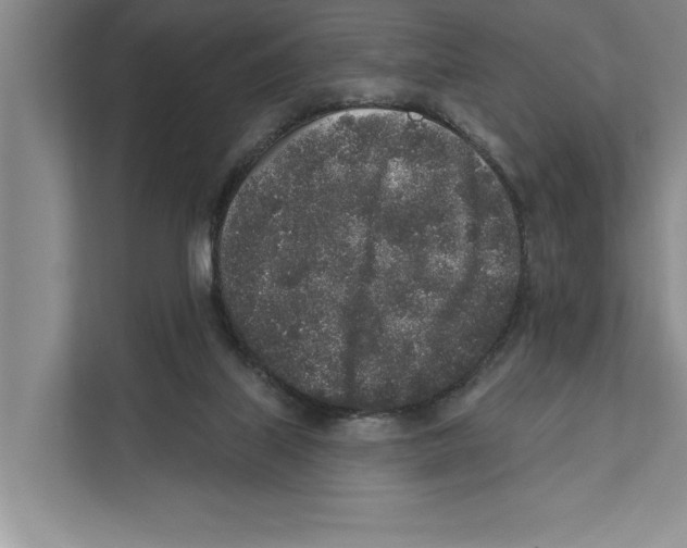 X0000110860067200907161405