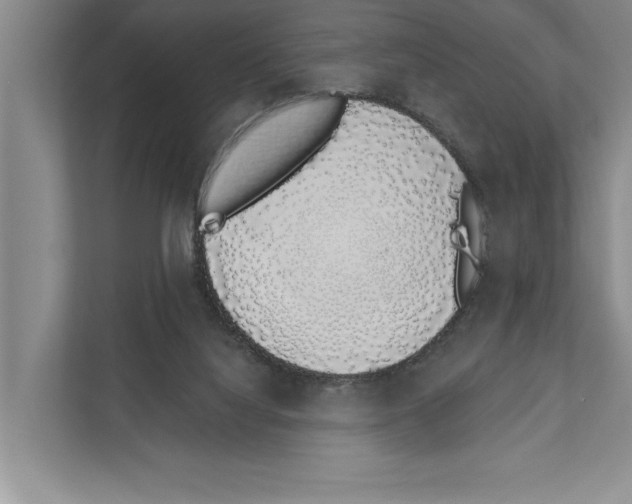 X0000110860068200907161405