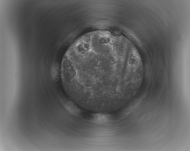 X0000110860073200907161405